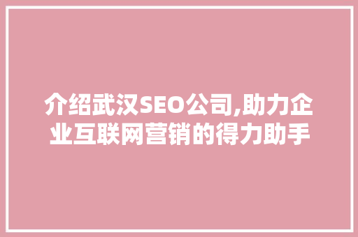 介绍武汉SEO公司,助力企业互联网营销的得力助手