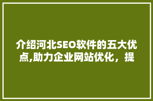 介绍河北SEO软件的五大优点,助力企业网站优化，提升网络竞争力