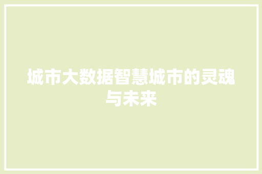 城市大数据智慧城市的灵魂与未来  第1张