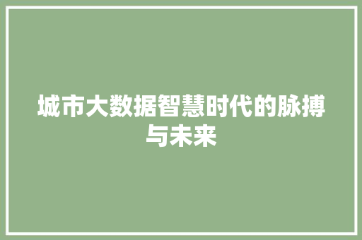 城市大数据智慧时代的脉搏与未来  第1张