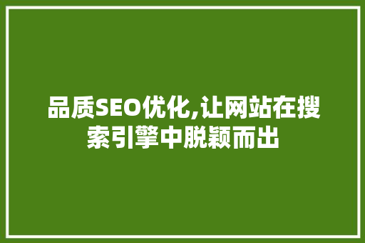 品质SEO优化,让网站在搜索引擎中脱颖而出