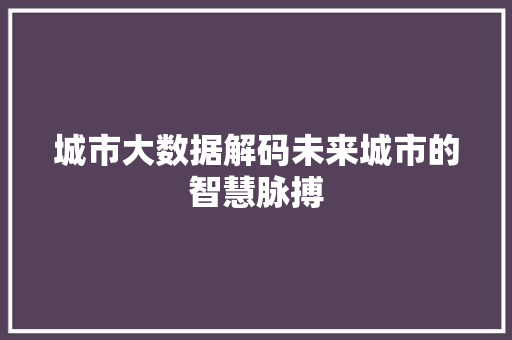 城市大数据解码未来城市的智慧脉搏  第1张