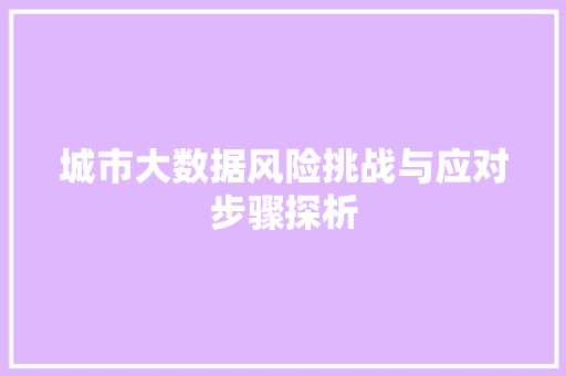 城市大数据风险挑战与应对步骤探析  第1张