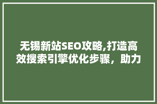 无锡新站SEO攻略,打造高效搜索引擎优化步骤，助力网站排名提升