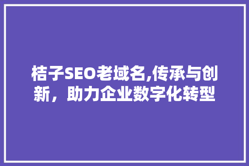 桔子SEO老域名,传承与创新，助力企业数字化转型