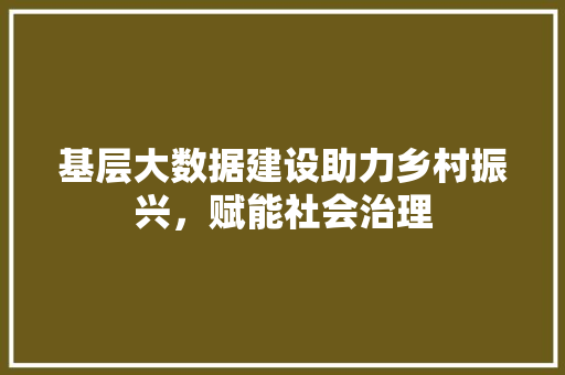 基层大数据建设助力乡村振兴，赋能社会治理  第1张