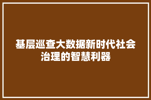 基层巡查大数据新时代社会治理的智慧利器