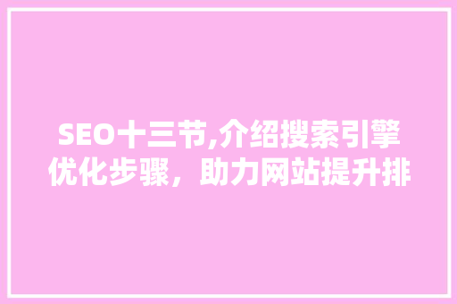 SEO十三节,介绍搜索引擎优化步骤，助力网站提升排名