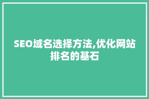SEO域名选择方法,优化网站排名的基石