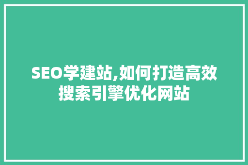 SEO学建站,如何打造高效搜索引擎优化网站