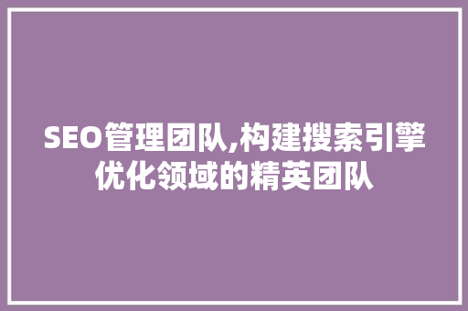 SEO管理团队,构建搜索引擎优化领域的精英团队
