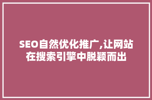 SEO自然优化推广,让网站在搜索引擎中脱颖而出