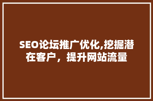 SEO论坛推广优化,挖掘潜在客户，提升网站流量