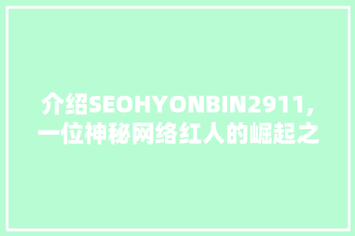 介绍SEOHYONBIN2911,一位神秘网络红人的崛起之路