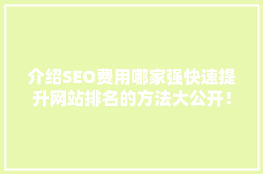 介绍SEO费用哪家强快速提升网站排名的方法大公开！