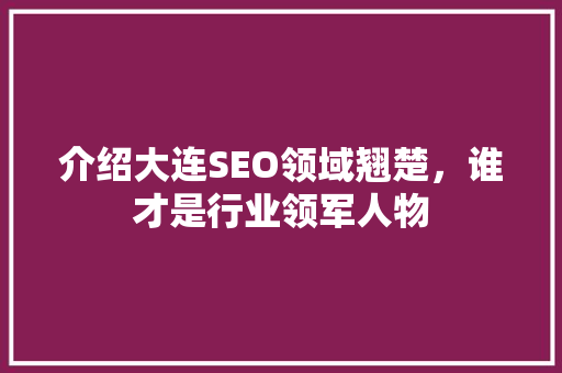 介绍大连SEO领域翘楚，谁才是行业领军人物