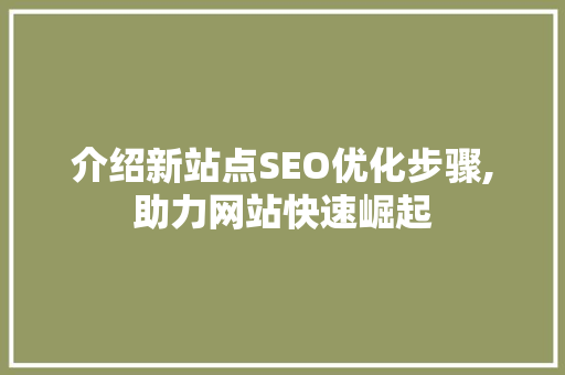 介绍新站点SEO优化步骤,助力网站快速崛起