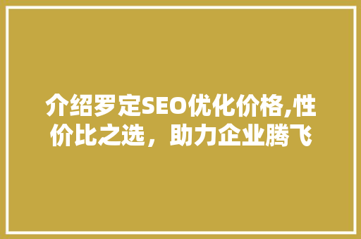 介绍罗定SEO优化价格,性价比之选，助力企业腾飞