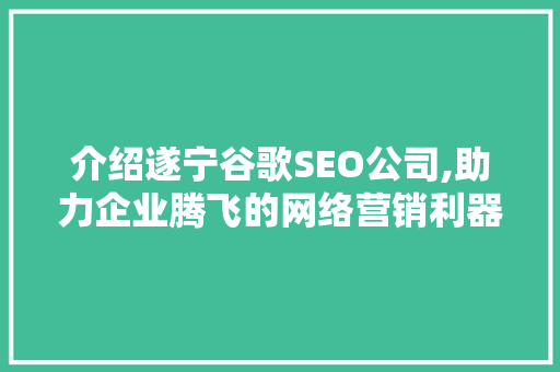 介绍遂宁谷歌SEO公司,助力企业腾飞的网络营销利器