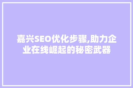 嘉兴SEO优化步骤,助力企业在线崛起的秘密武器