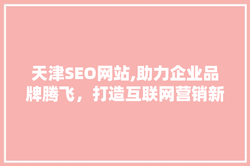 天津SEO网站,助力企业品牌腾飞，打造互联网营销新格局