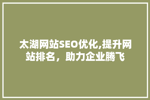 太湖网站SEO优化,提升网站排名，助力企业腾飞