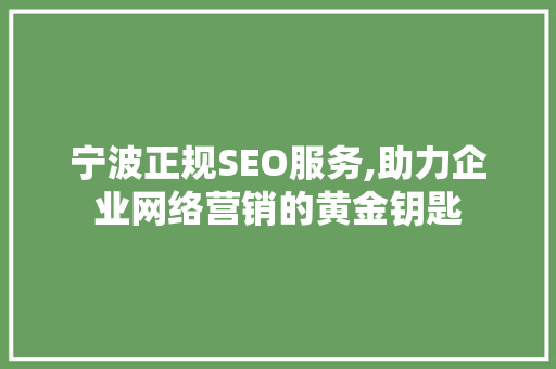 宁波正规SEO服务,助力企业网络营销的黄金钥匙