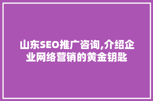 山东SEO推广咨询,介绍企业网络营销的黄金钥匙