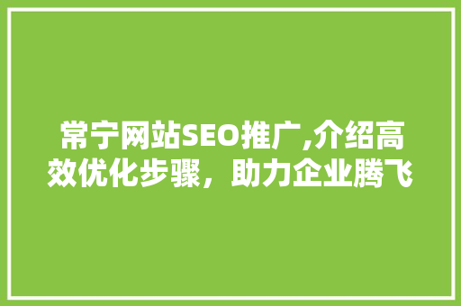 常宁网站SEO推广,介绍高效优化步骤，助力企业腾飞