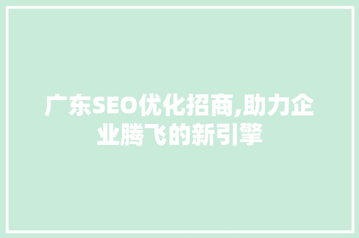 广东SEO优化招商,助力企业腾飞的新引擎