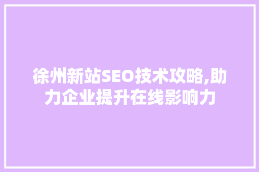 徐州新站SEO技术攻略,助力企业提升在线影响力