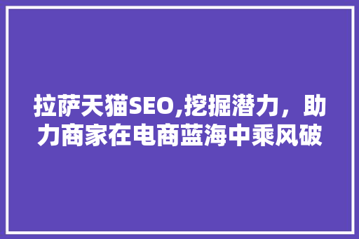 拉萨天猫SEO,挖掘潜力，助力商家在电商蓝海中乘风破浪