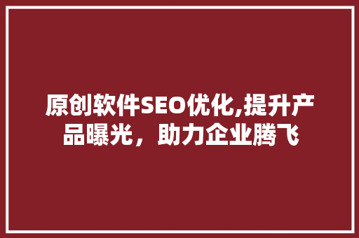 原创软件SEO优化,提升产品曝光，助力企业腾飞  第1张