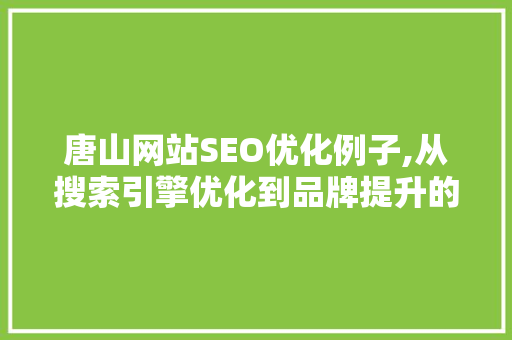 唐山网站SEO优化例子,从搜索引擎优化到品牌提升的华丽蜕变