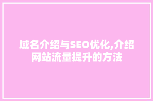域名介绍与SEO优化,介绍网站流量提升的方法