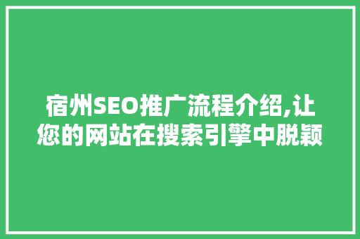 宿州SEO推广流程介绍,让您的网站在搜索引擎中脱颖而出