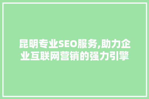 昆明专业SEO服务,助力企业互联网营销的强力引擎