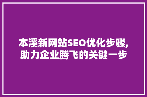 本溪新网站SEO优化步骤,助力企业腾飞的关键一步