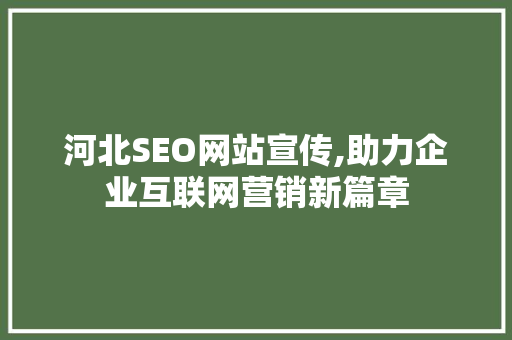 河北SEO网站宣传,助力企业互联网营销新篇章