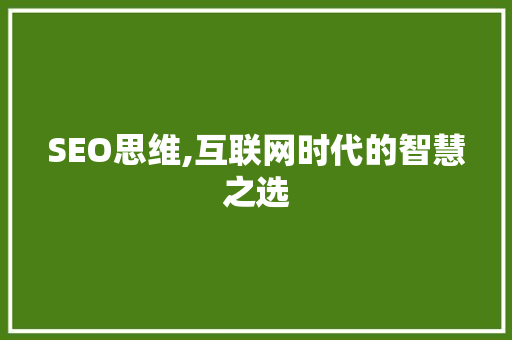 SEO思维,互联网时代的智慧之选