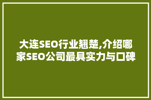 大连SEO行业翘楚,介绍哪家SEO公司最具实力与口碑