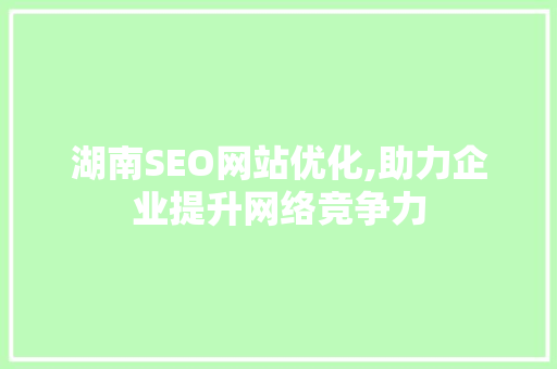 湖南SEO网站优化,助力企业提升网络竞争力