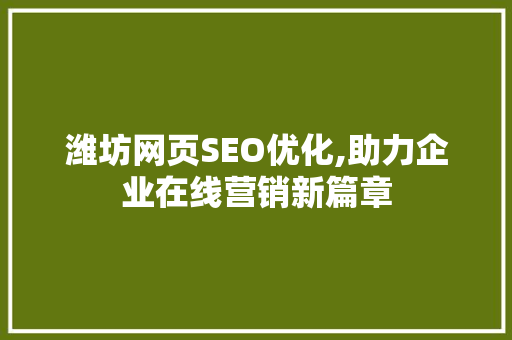 潍坊网页SEO优化,助力企业在线营销新篇章