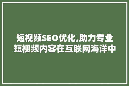 短视频SEO优化,助力专业短视频内容在互联网海洋中脱颖而出