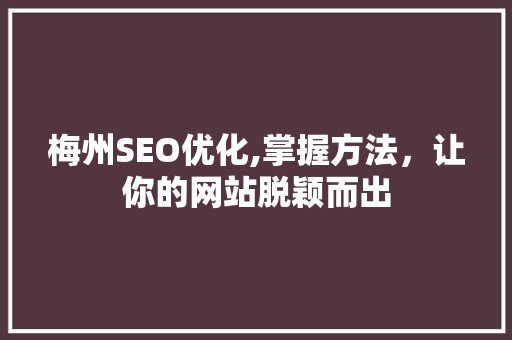 梅州SEO优化,掌握方法，让你的网站脱颖而出