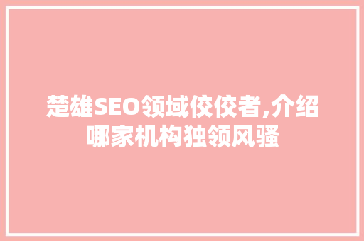 楚雄SEO领域佼佼者,介绍哪家机构独领风骚