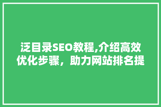 泛目录SEO教程,介绍高效优化步骤，助力网站排名提升