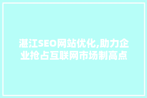 湛江SEO网站优化,助力企业抢占互联网市场制高点