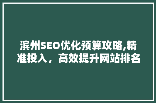 滨州SEO优化预算攻略,精准投入，高效提升网站排名