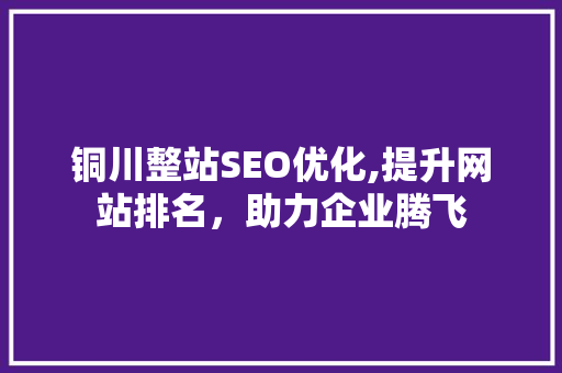 铜川整站SEO优化,提升网站排名，助力企业腾飞
